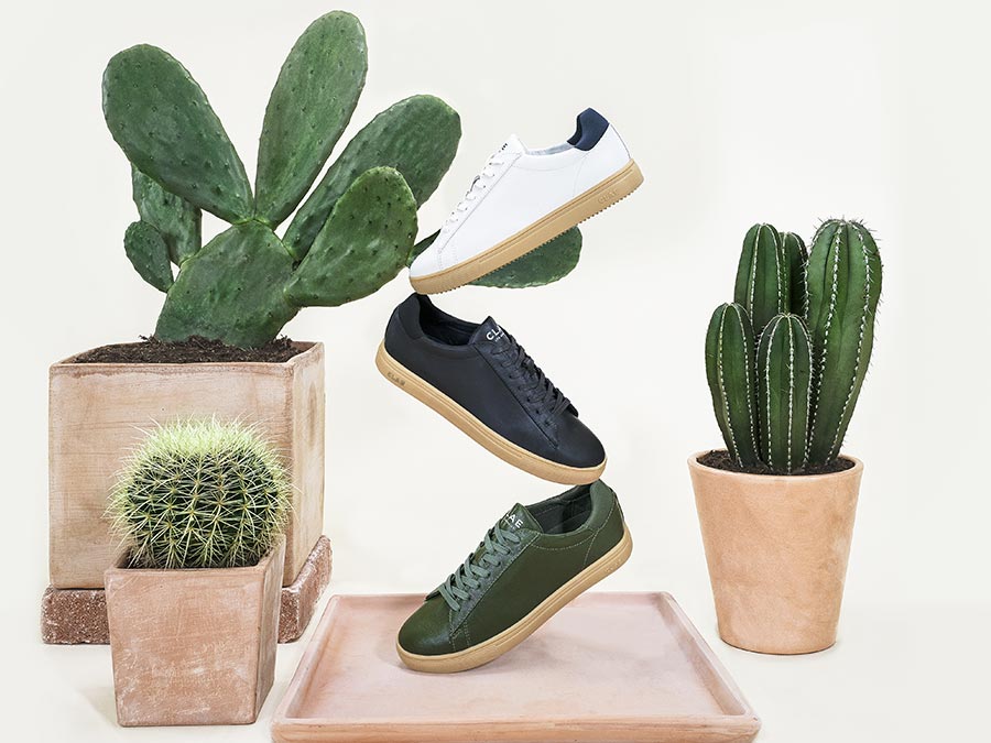 Baskets Clae en cuir cactus