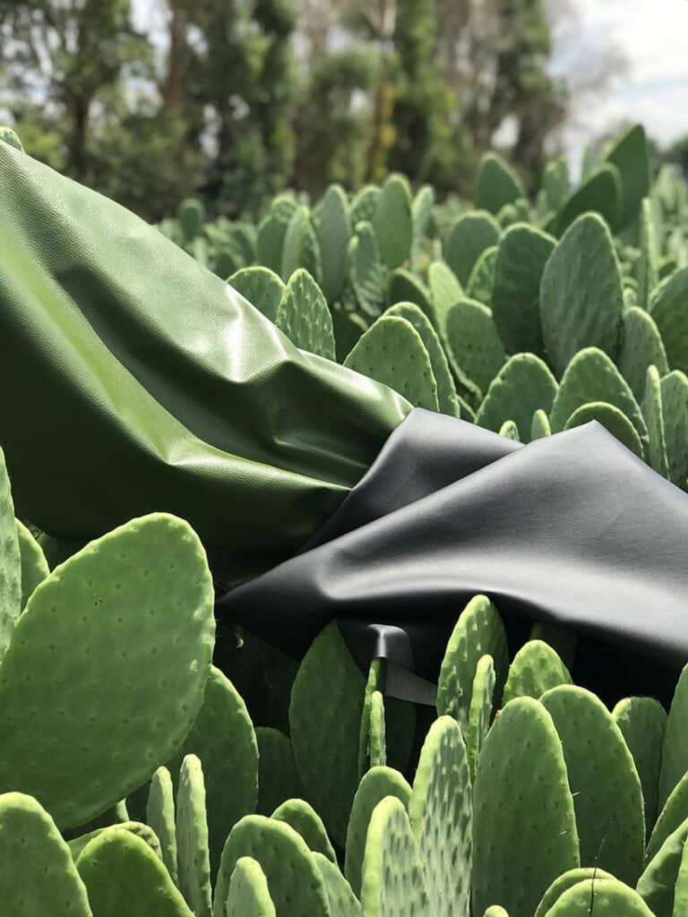 Zapatillas veganas hechas con cactus Nopal