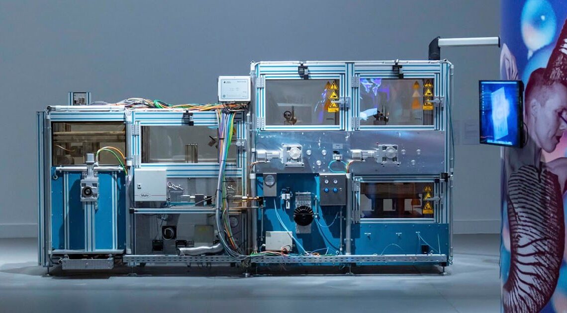 アクアポニックス: それは何か、そしてその目的 - アクアポニックスとは何ですか