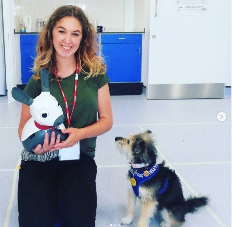 Robots biomiméticos para terapia con mascotas