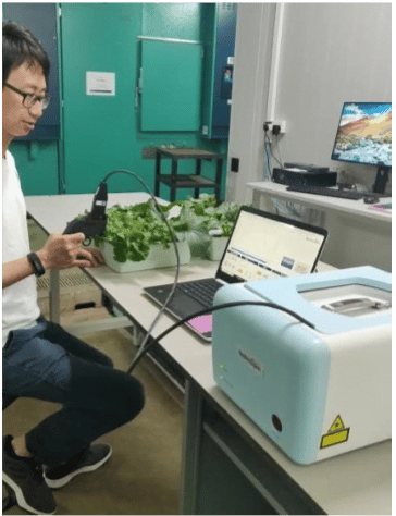 SMART Portable leaf clip Raman sensor being used at TLL to detect nutrient stress in leafy vegetables