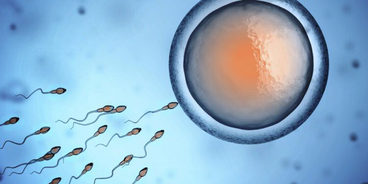 妊娠中に妊娠する可能性はありますか?