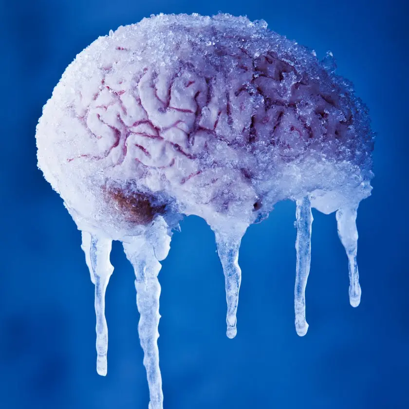 Nectome, para preservar el cerebro humano para poder digitalizarlo en el futuro