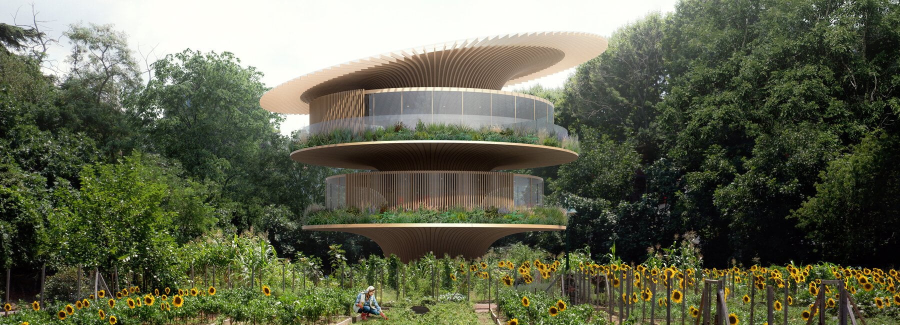 sunflower house, house with positive environmental impact