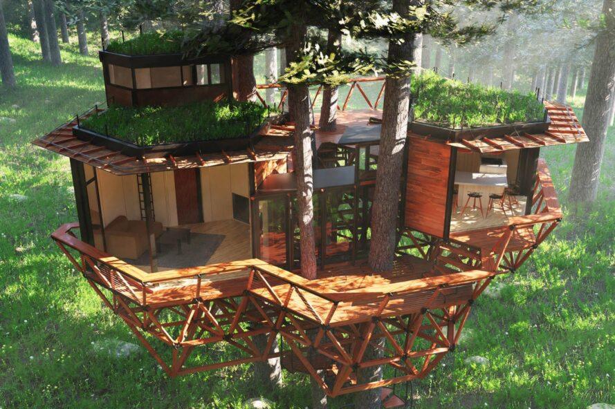 Treewalkers, red de casas en los árboles