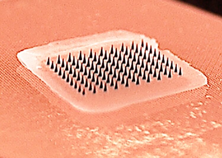 ソーセージはどのような害を引き起こす可能性がありますか?