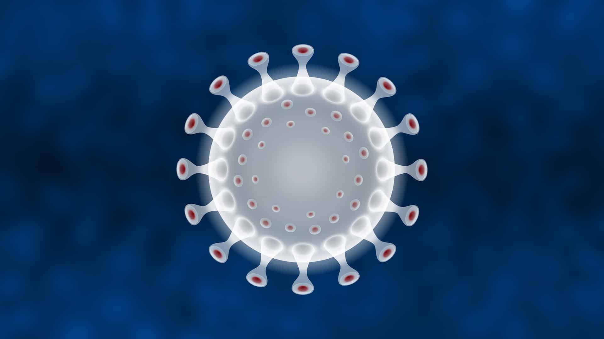 коронавирус 3