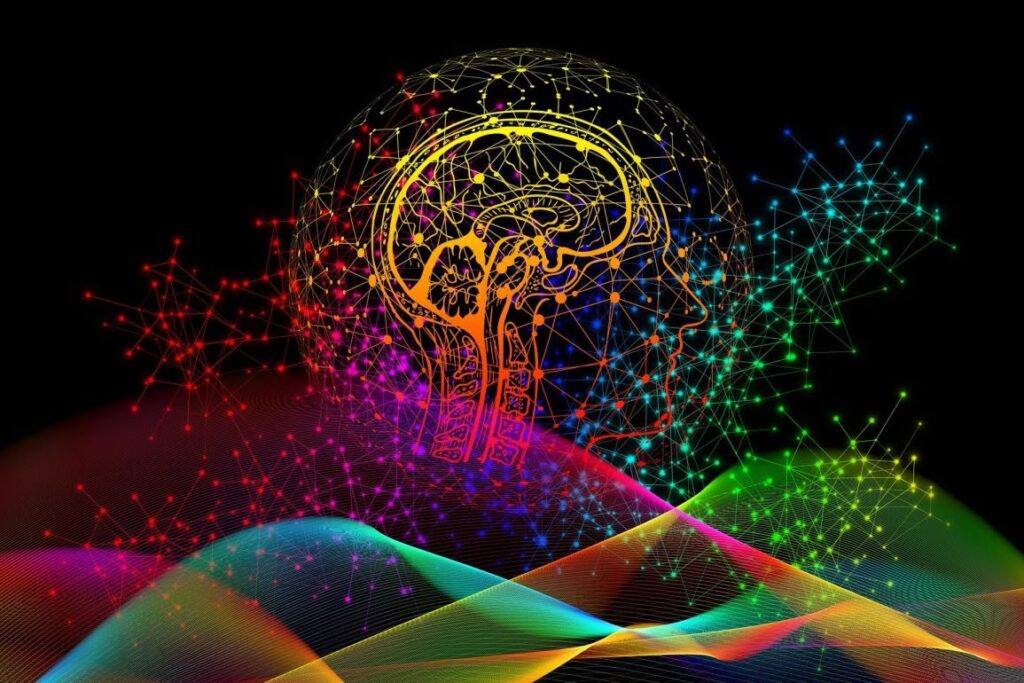 ニューロテック 脳を観察する 神経科学 1155x770 1