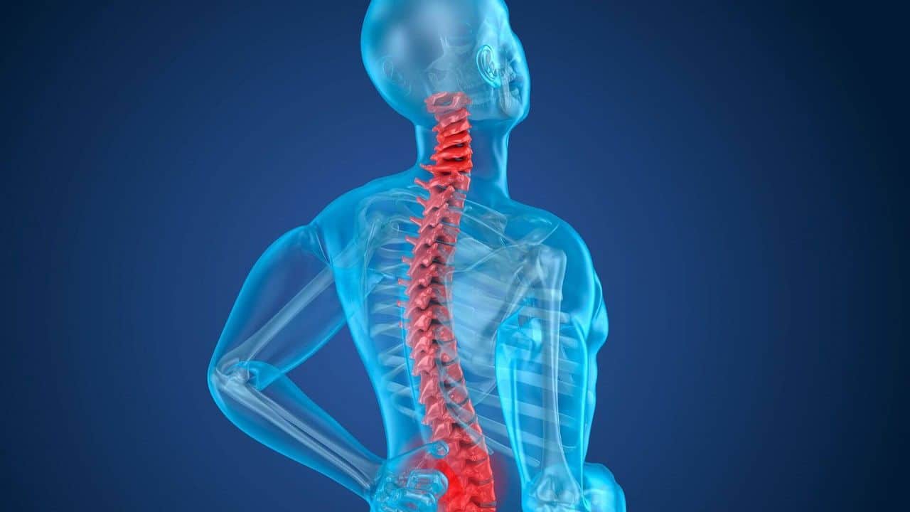 Entdeckung einer neuen Technik zur Reparatur von Rückenmarksverletzungen v3 425591 1280x720 1