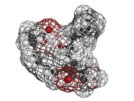 brain aging