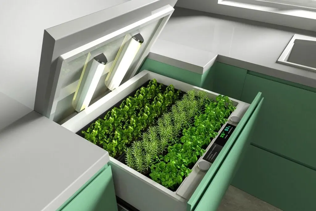 Domestic garden