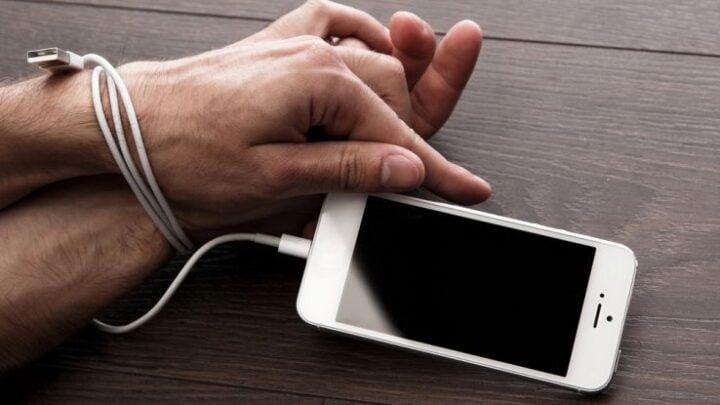 私たちの環境を知り、それを守る方法を学ぶ - 信じられないほどのケース