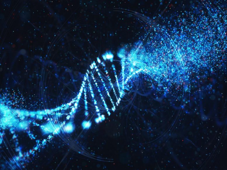 quantum mechanical DNA mutations