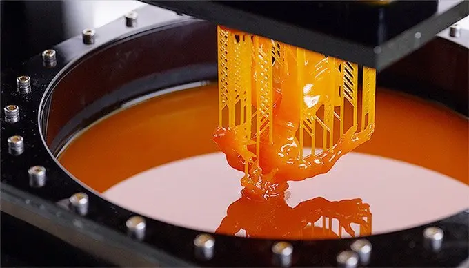 Stampa organi 3D