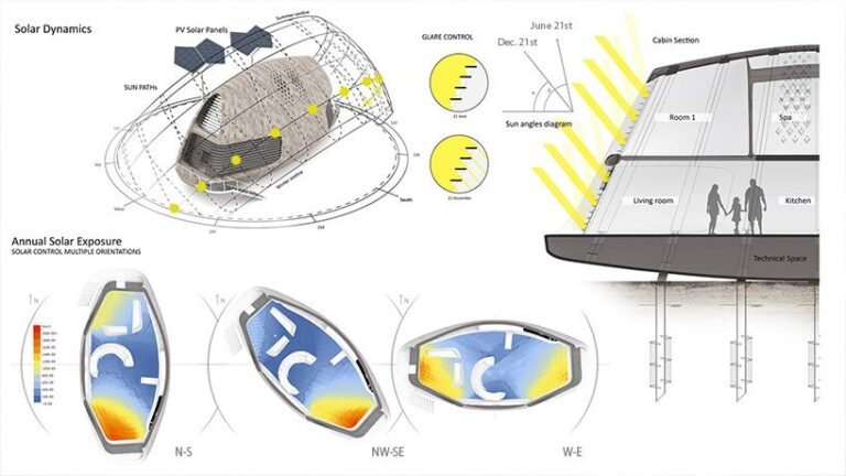 ミツバチのライフサイクル - 働きバチのライフサイクル