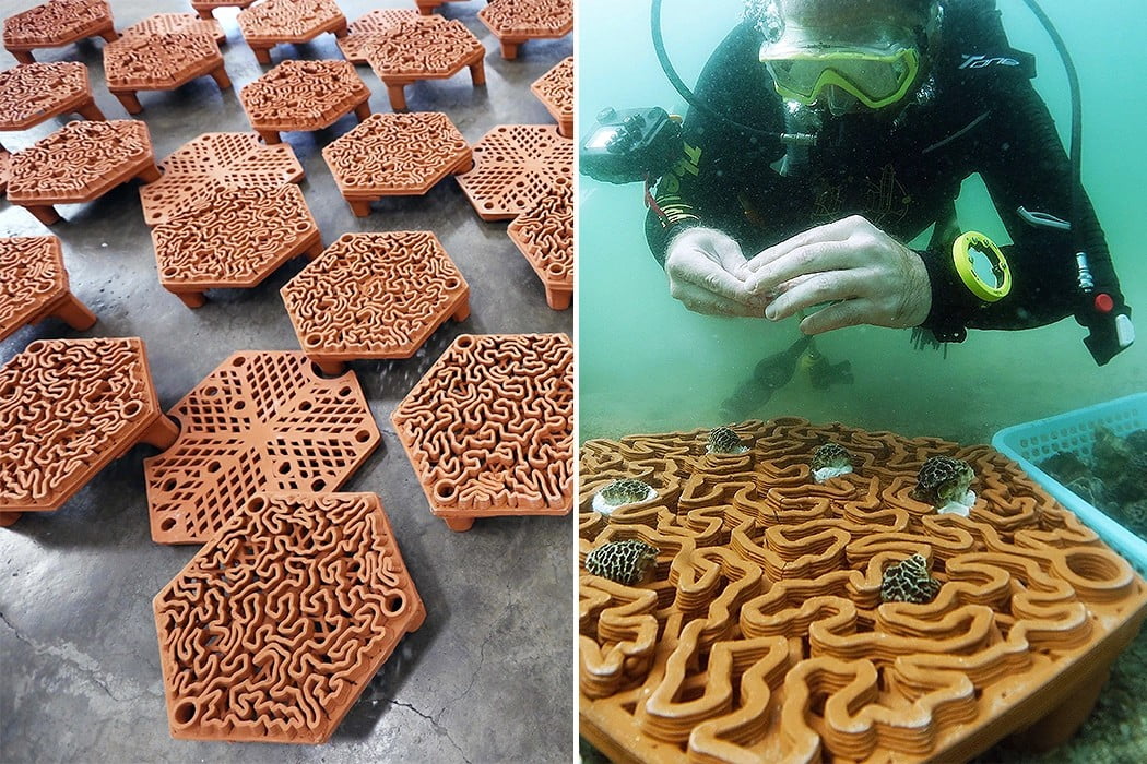 12 terracotta reef yankodesign 1