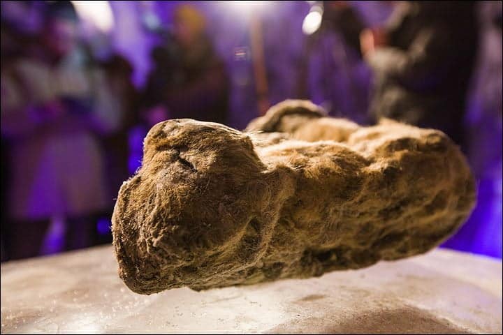 Permafrost