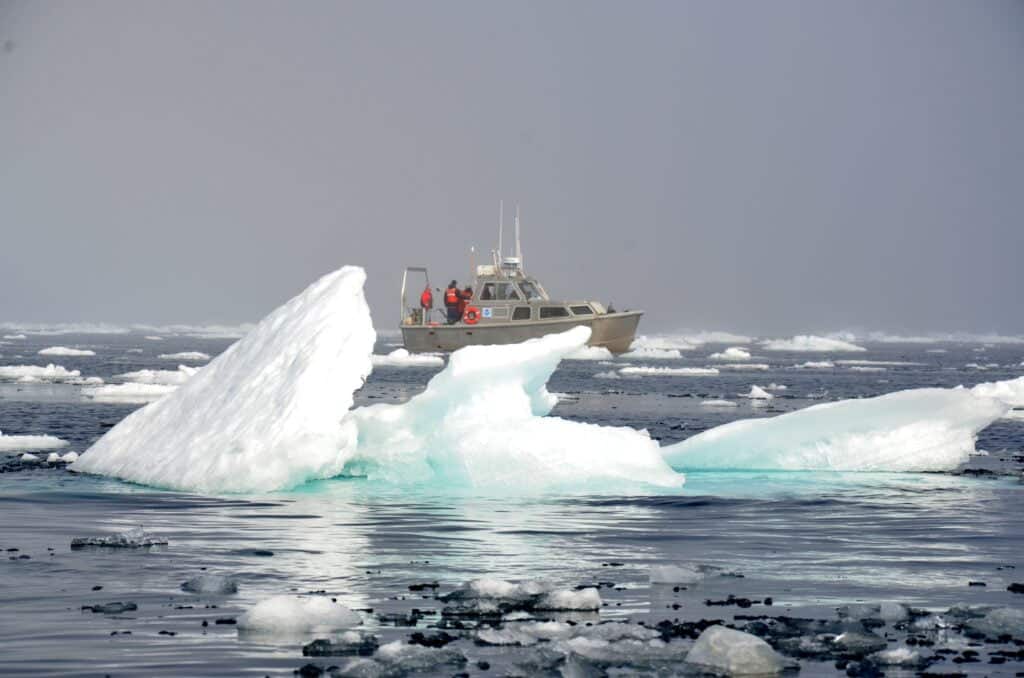 Klimaökonomen