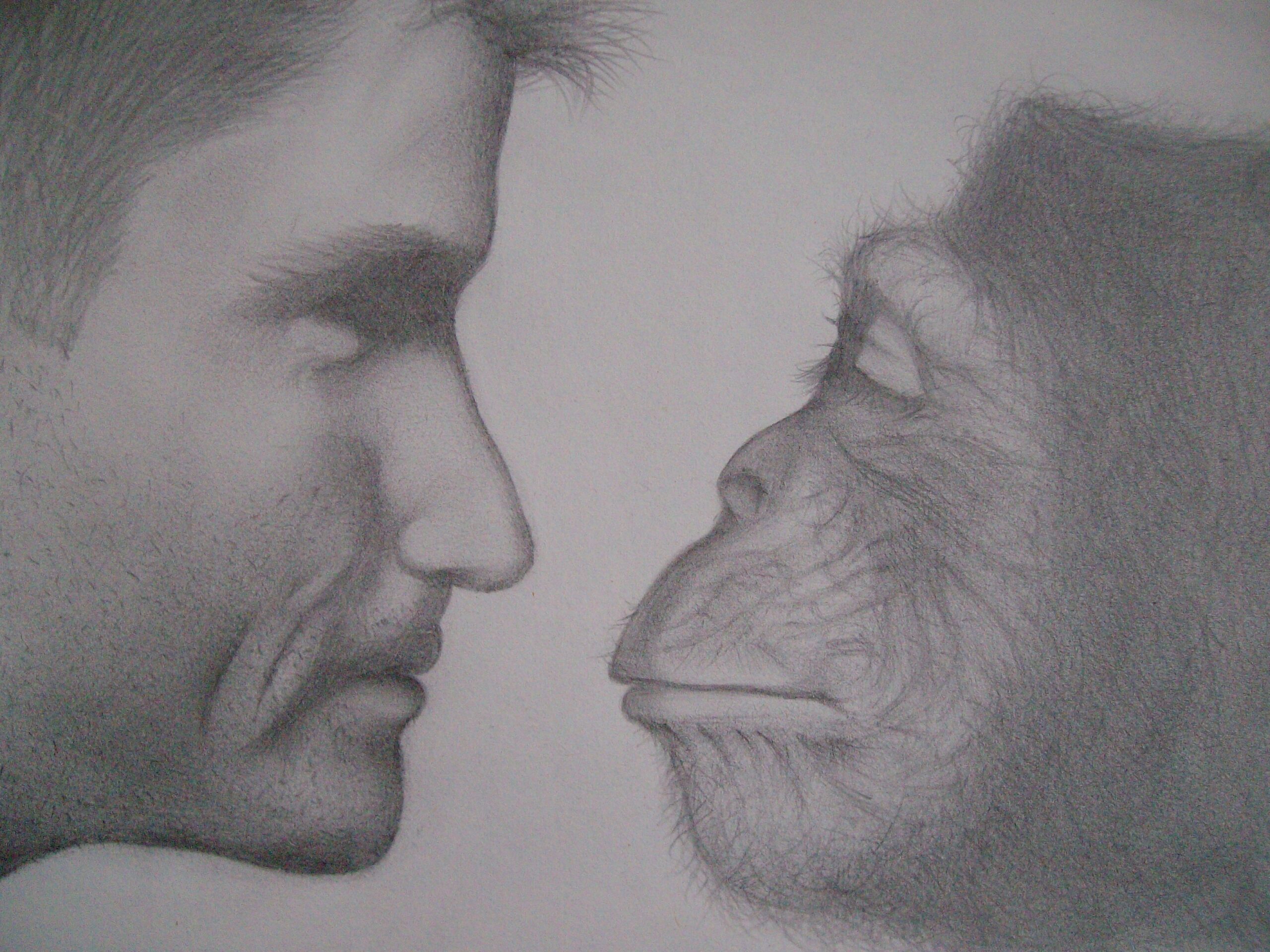 homem vs macaco por extraordinário632 em escala