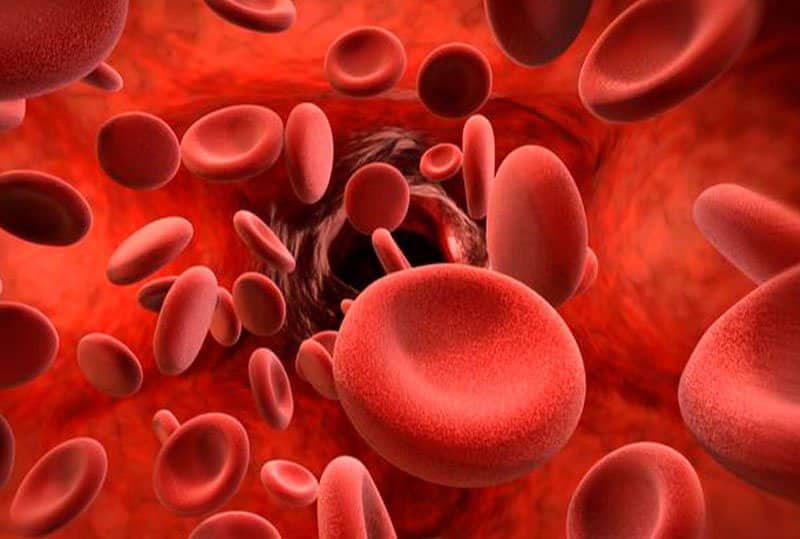 niedrige rote Blutkörperchen