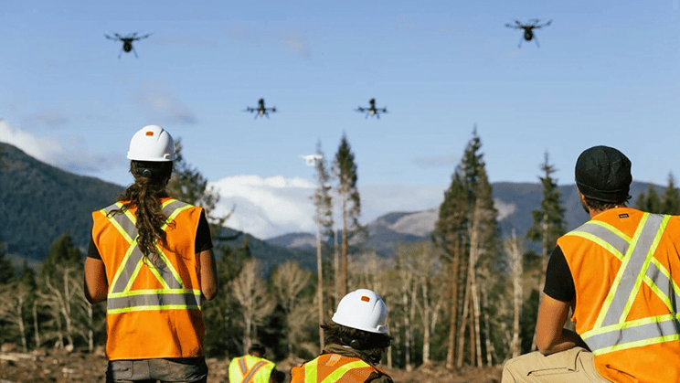 encabezado bosque drone cambiar tamaño md