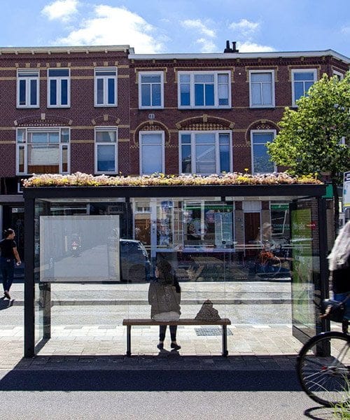 Autobus