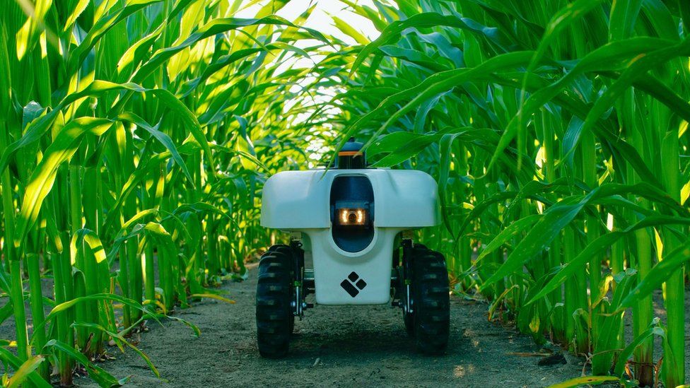 Ist Die Roboter Landwirtschaft Der Nahen Zukunft Eine Utopie Oder Ein