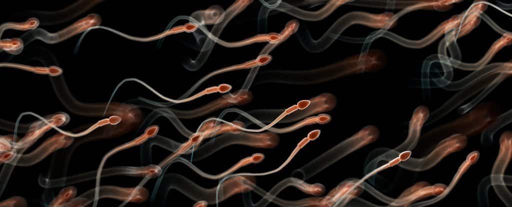 Pregnancy