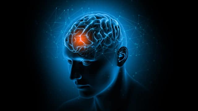 Atividade neural