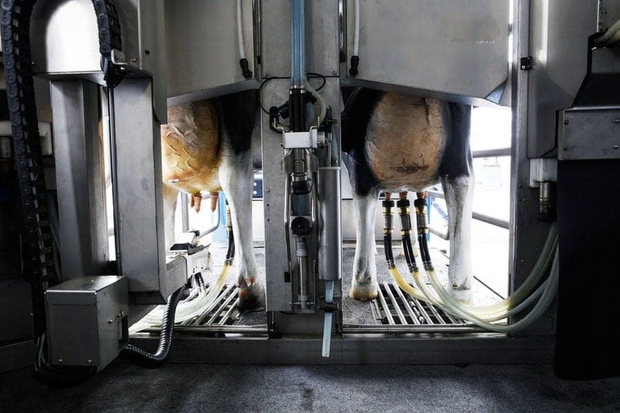 Agriculture 4.0