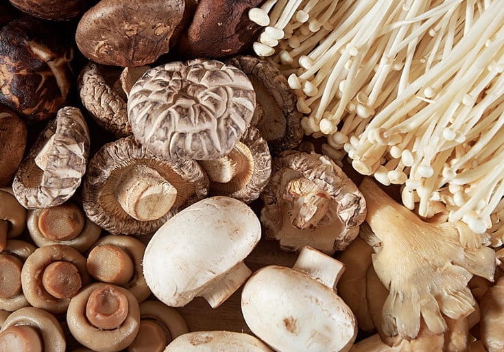 Funghi