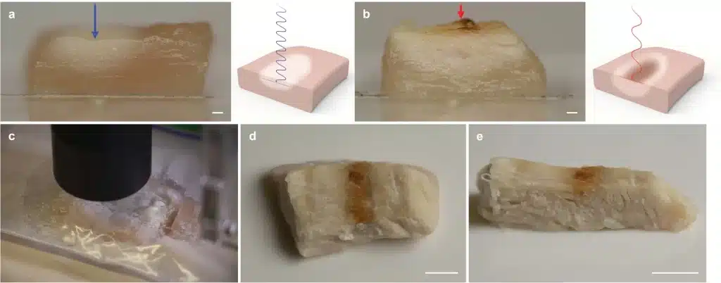 pollo stampato in 3d e cotto al laser