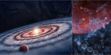 Basi della vita extraterrestre