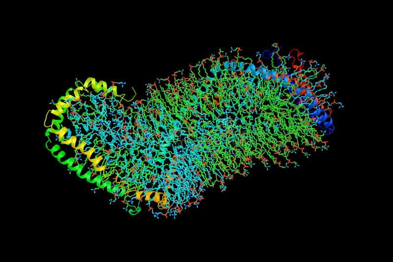 Lipoproteins, liver and alzheimers