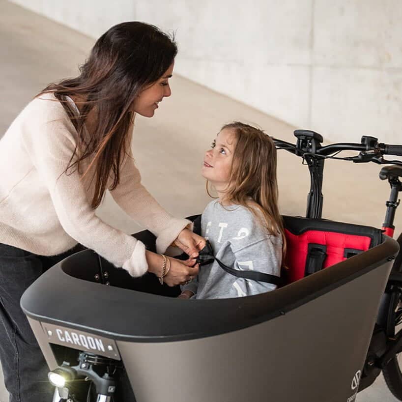 Bicicleta de carga