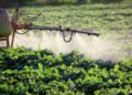 les pesticides décomposent les calories
