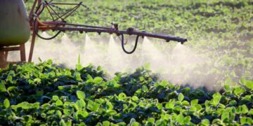 el pesticida descompone las calorías