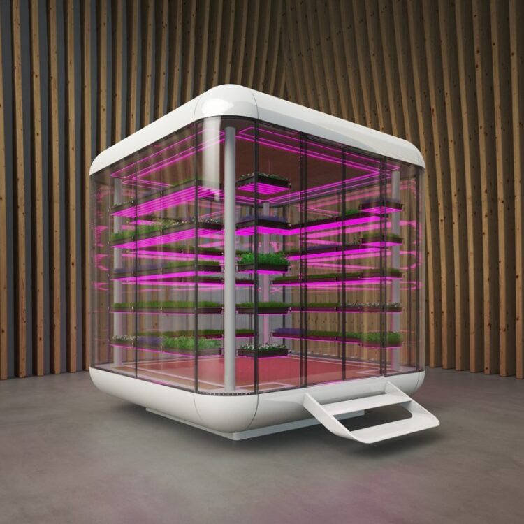 mini serra microgreen