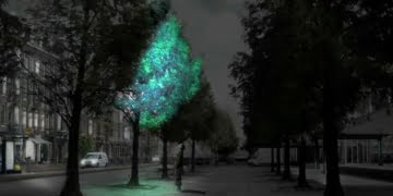 piante luminose