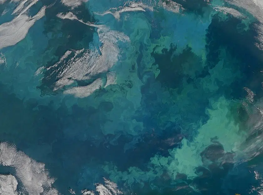 海洋地球工学