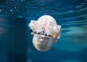 minirobotが海のCARLボットを探索