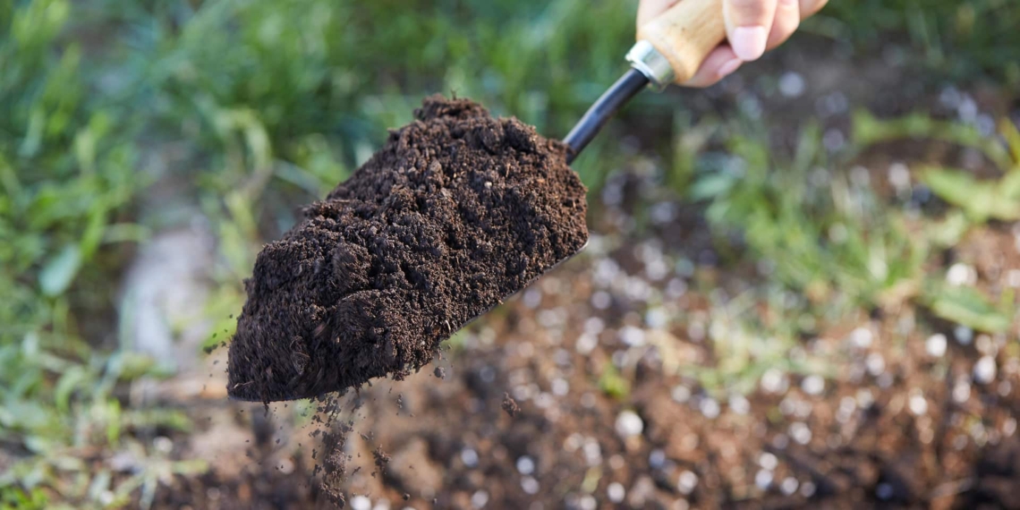 土壌肥料