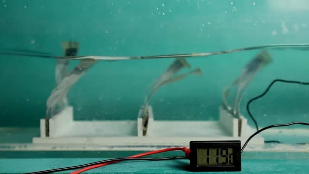 Triboelectric seaweed wave motion