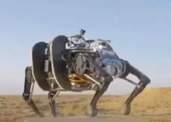 cina yak robot quadrupede