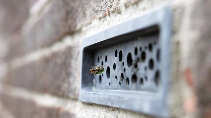 ladrillos para abejas