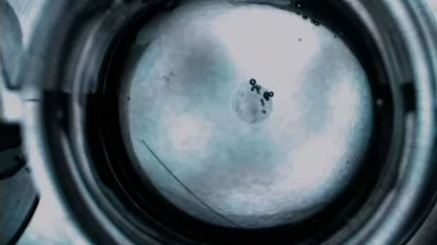 liquibot