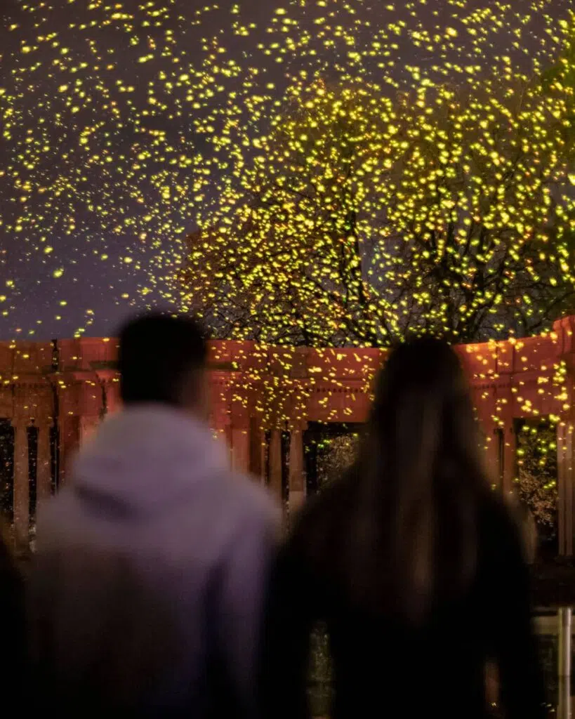 fireworks