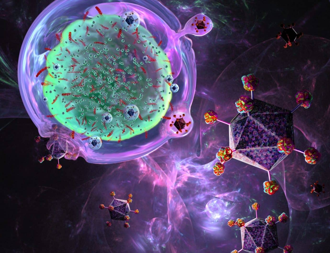 Illustration of CAR (chimeric antigen receptor) T cell immunotherapy, a process that is being developed to treat cancer. T cells (one at upper left), part of the body's immune system, are taken from the patient and have their DNA (deoxyribonucleic acid) modified by viruses (purple) so that they produce chimeric antigen receptor (CAR) proteins. These proteins will be specific to the patient's cancer. The modified T cells are then multiplied in the laboratory before being reintroduced to the patient.