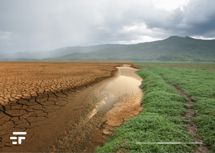 Migración climática