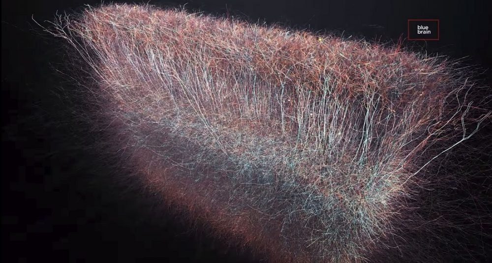 cerebro multidimensional